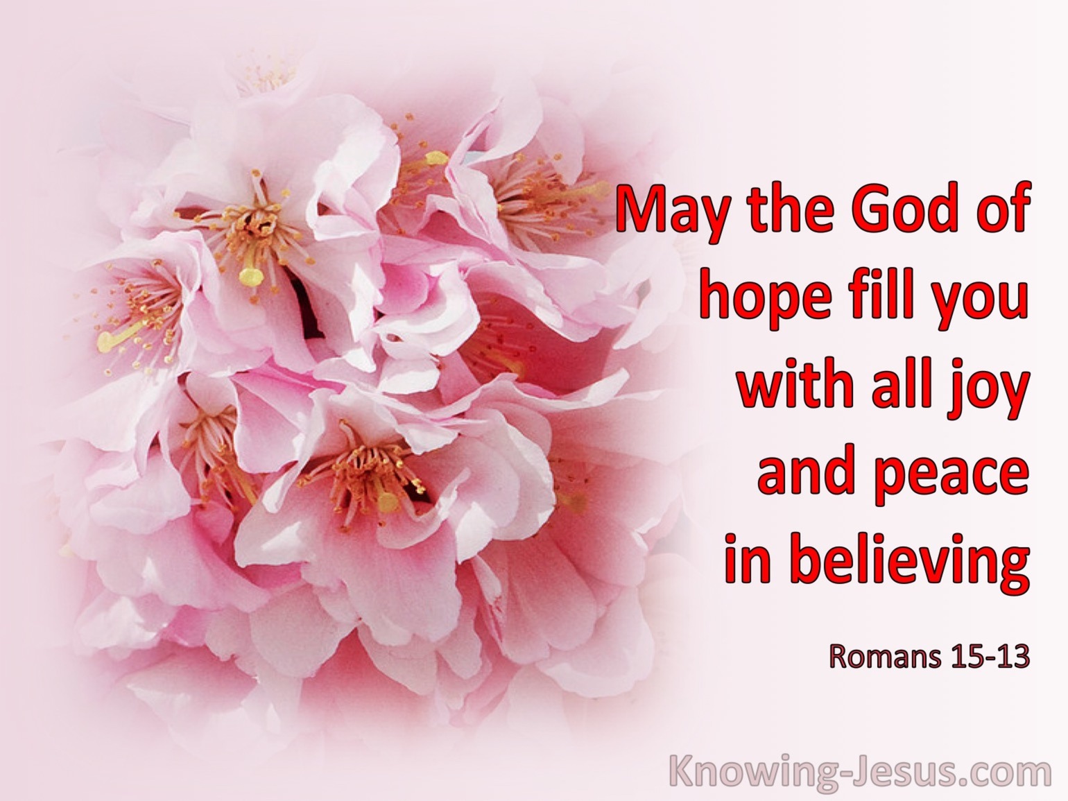 What Does Romans 15 13 Mean 